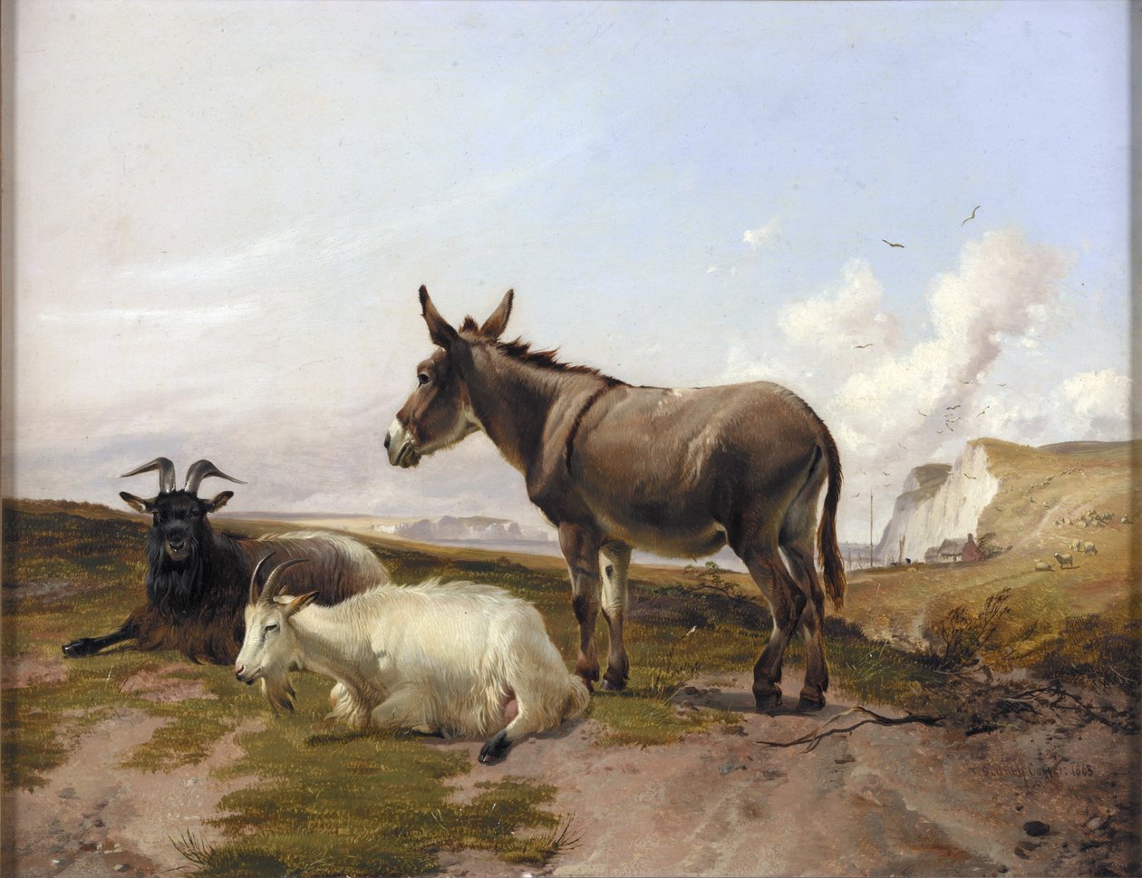 Auf den Downs von Thomas Sidney Cooper