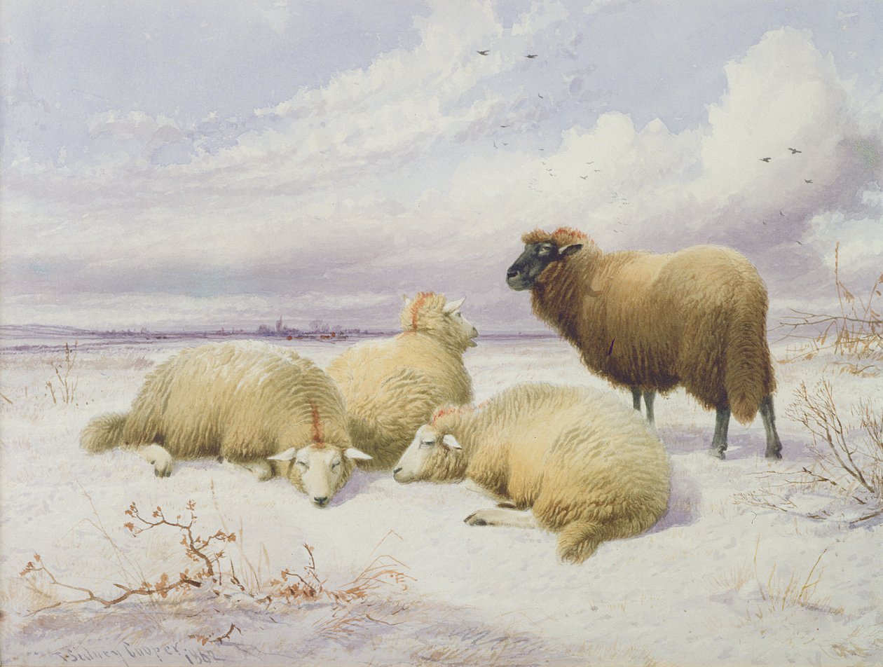 Schafe im Schnee von Thomas Sidney Cooper