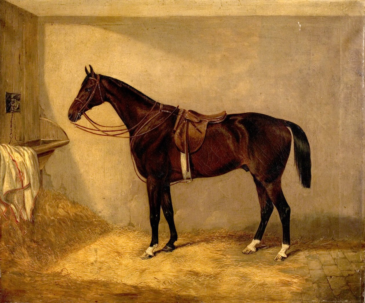 Porträt des Pferdes, das Major Burton bei der Balaklawa-Attacke gehörte von Thomas W. Bretland