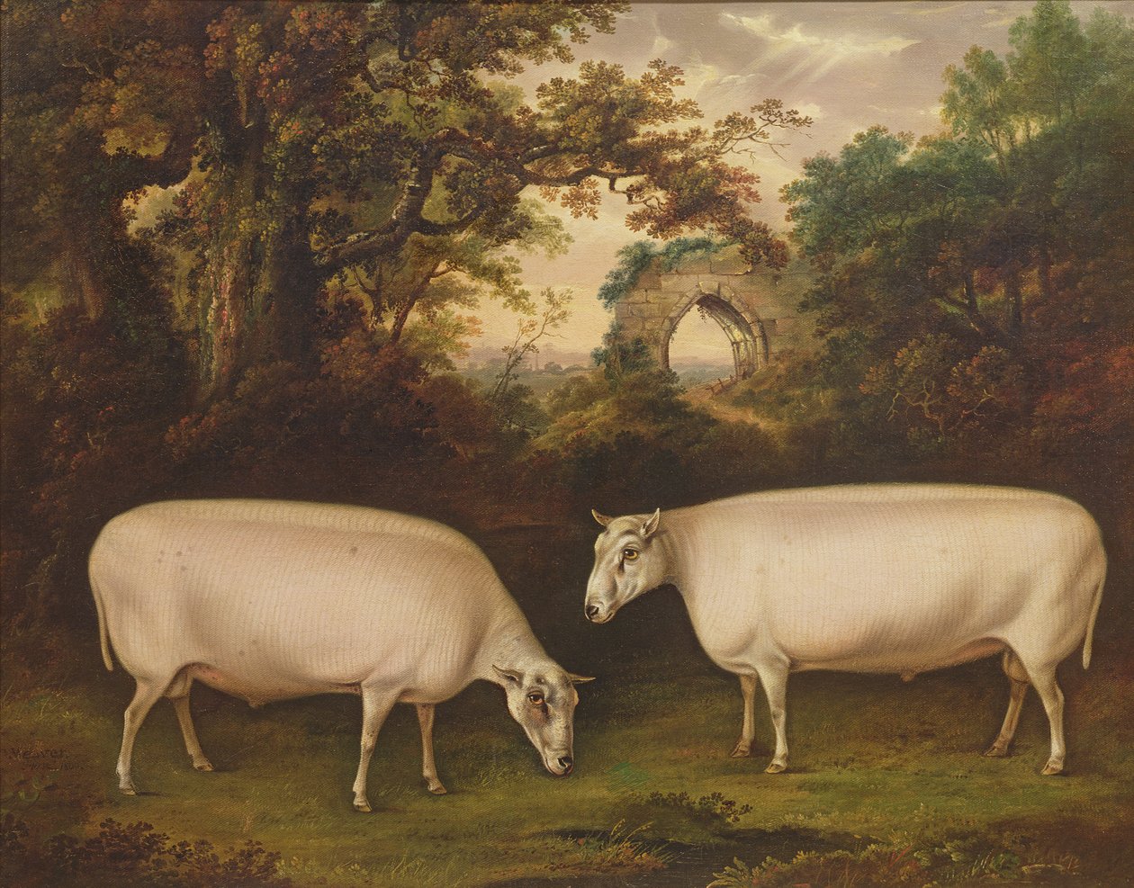 Zwei preisgekrönte Border Leicester Widder in einer Landschaft von Thomas Weaver