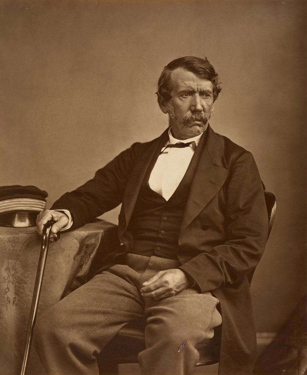 David Livingstone von Thomas Annan - Original von Thomas Annan