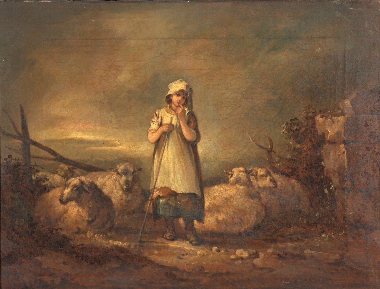 Mädchen aus Gloucestershire hütet Schafe von Thomas Barker of Bath