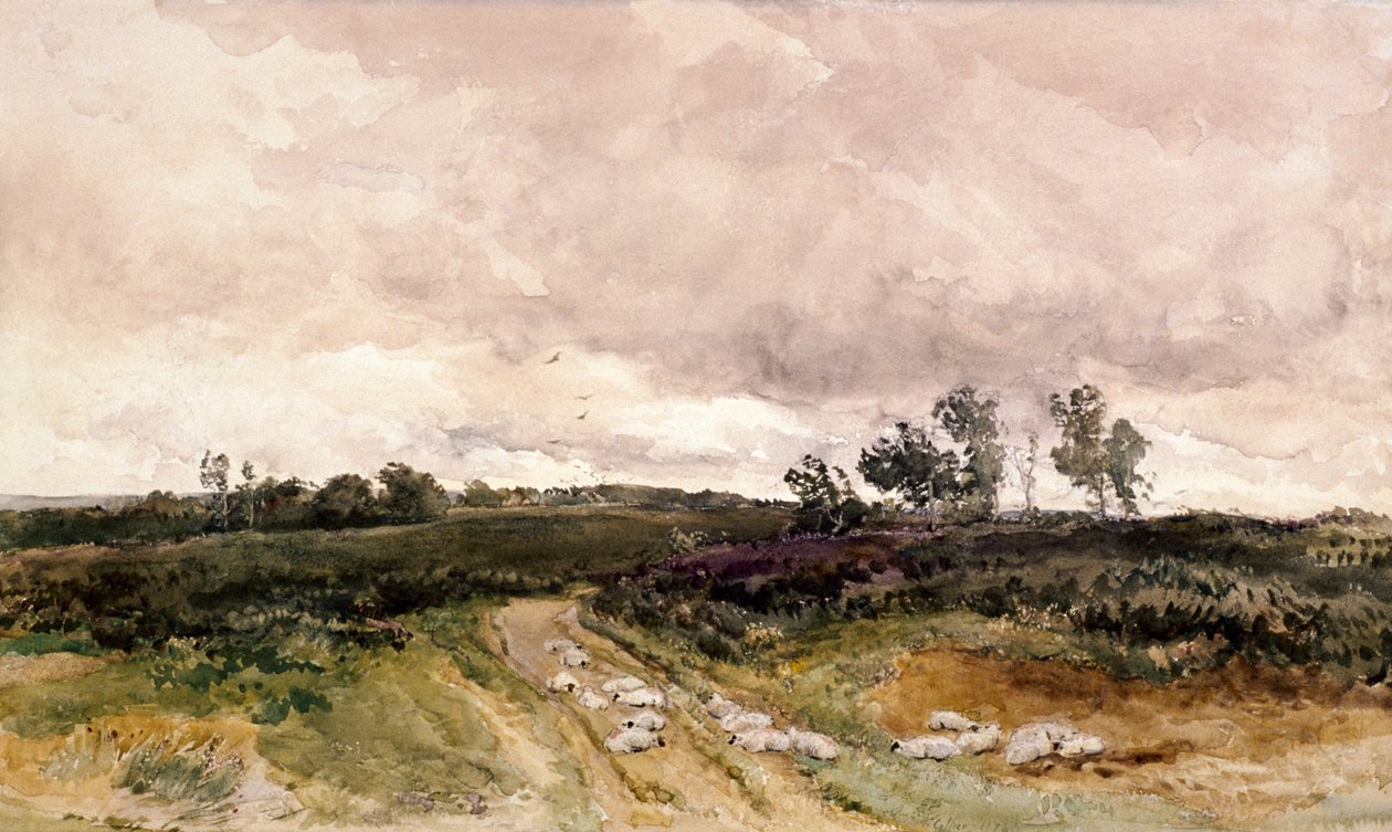 Moorlandschaft, 1878 von Thomas Collier
