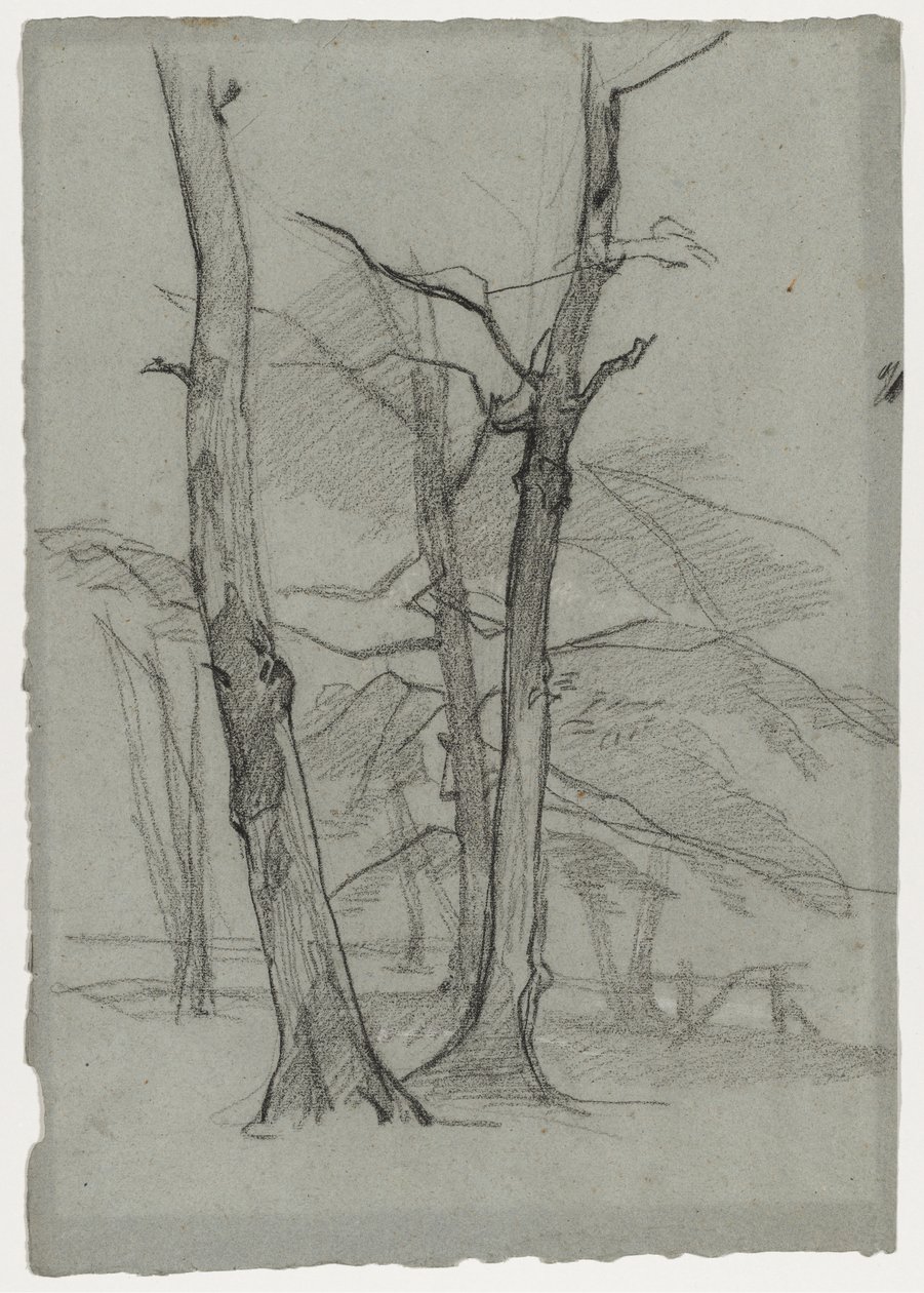 Landschaftsstudie mit Bäumen von Thomas Couture