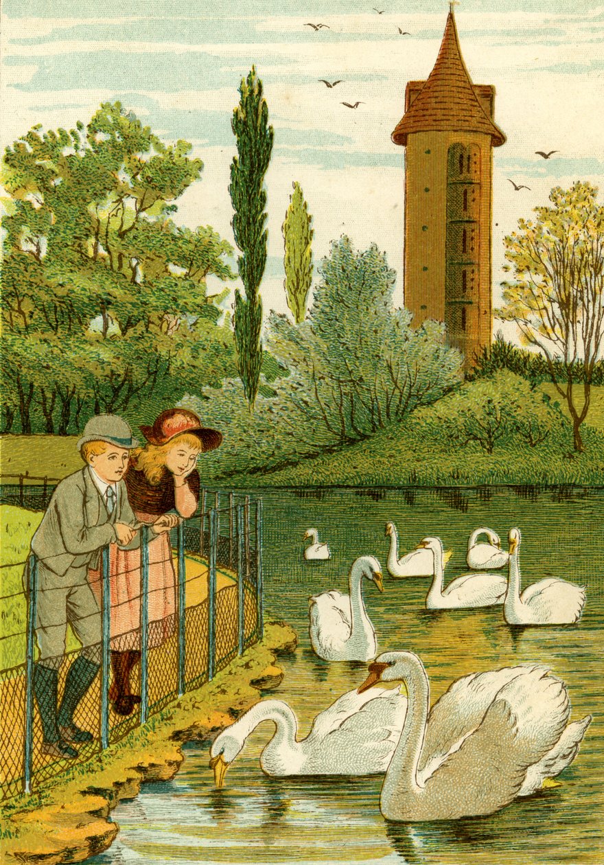 Pariser Zoo - Kinder beobachten Schwäne von Thomas Crane