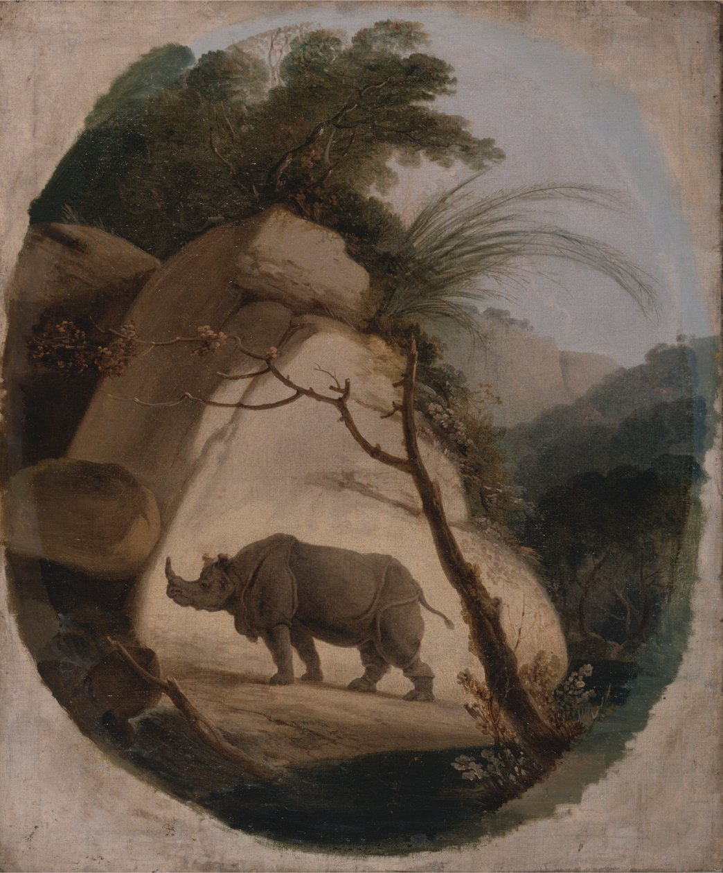 Das Indische Nashorn von Thomas Daniell