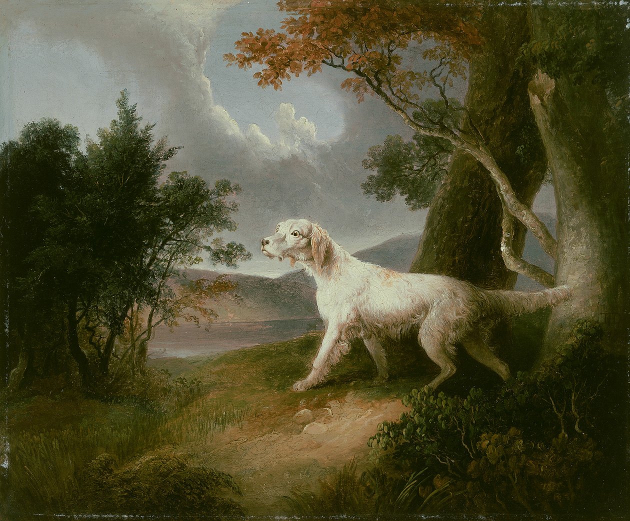 Landschaft mit Hund, 1832 von Thomas Doughty