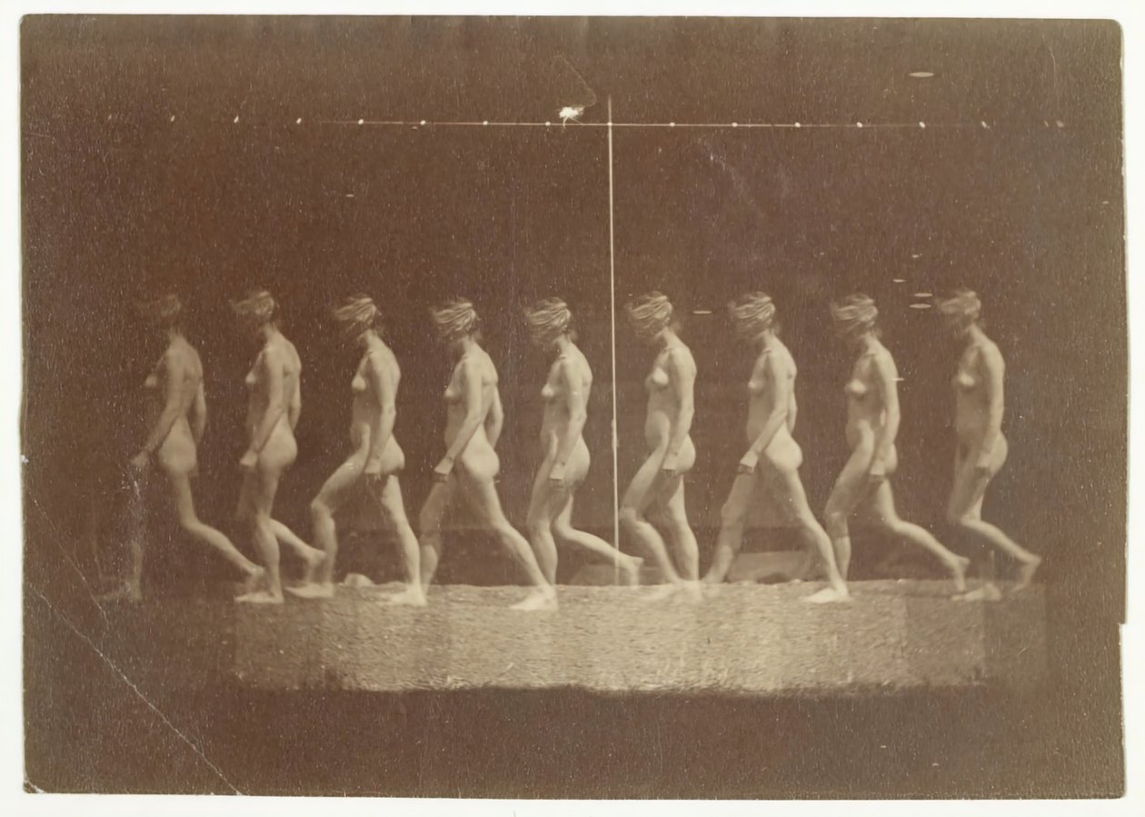 Marey-Rad-Fotografien eines unbekannten Modells, 1884 von Thomas Eakins