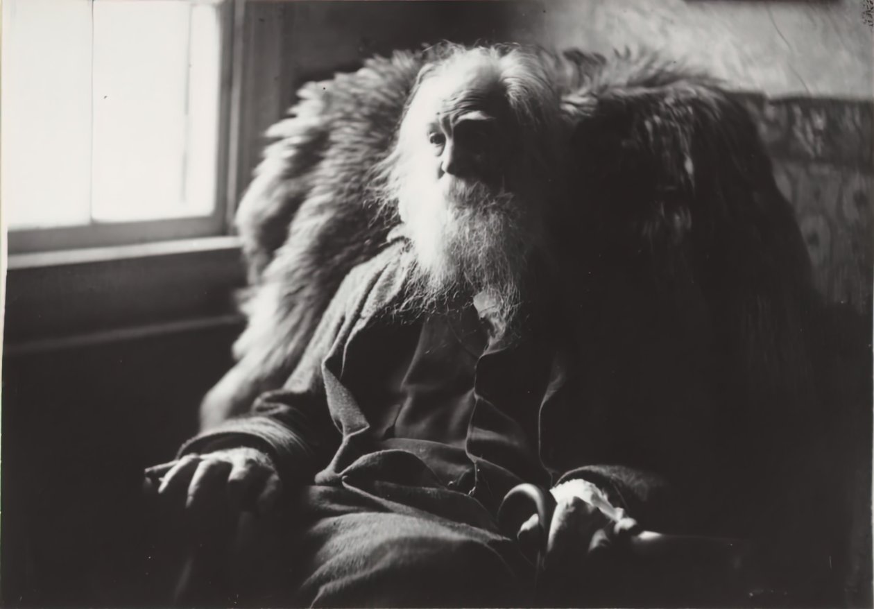 Walt Whitman in Camden, N.J., ca. 1891 von Thomas Eakins