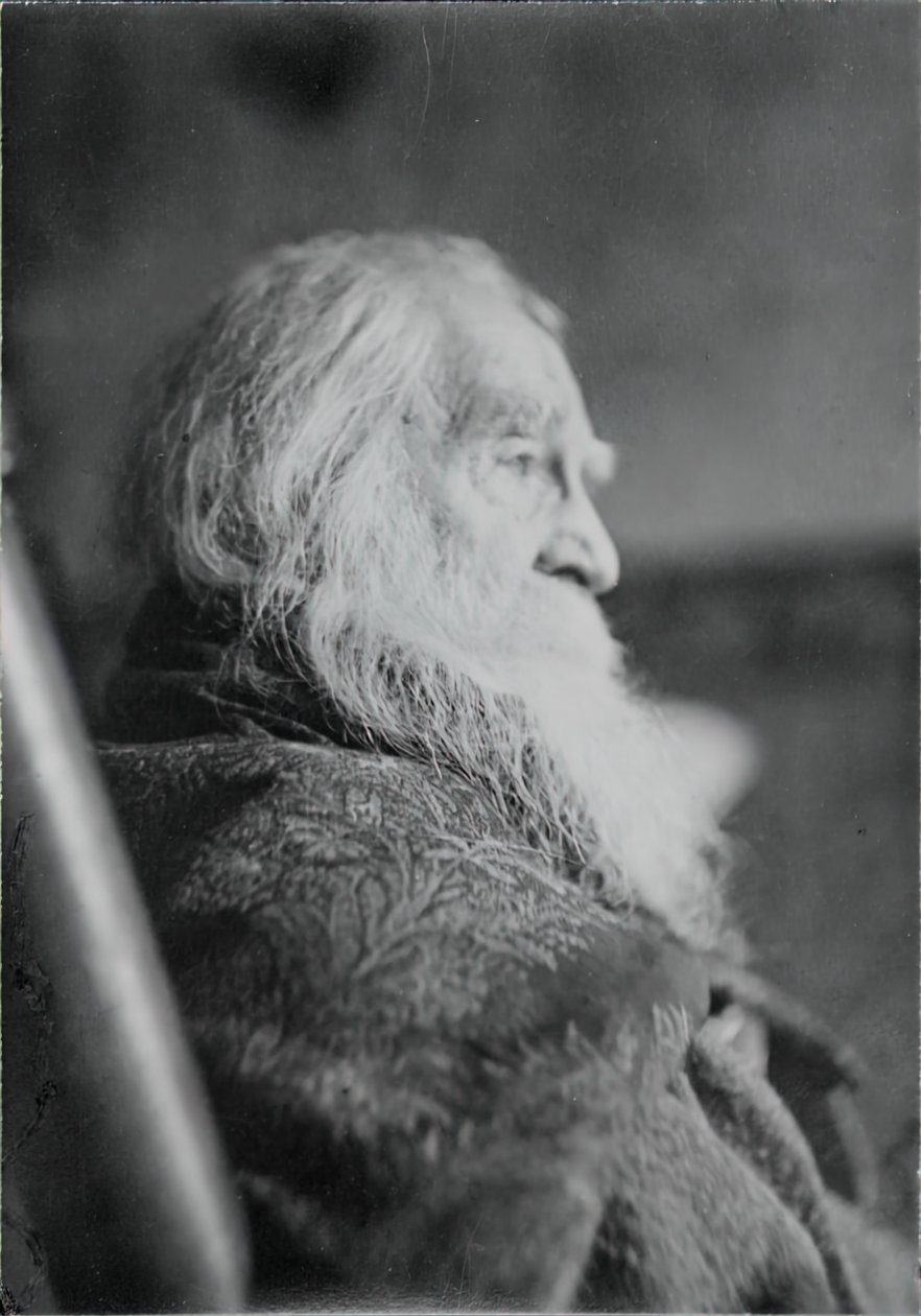 Walt Whitman in Camden, N.J., um 1891 von Thomas Eakins