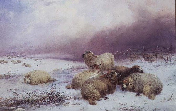 Winterlandschaft mit Schafen von Thomas Francis Wainewright