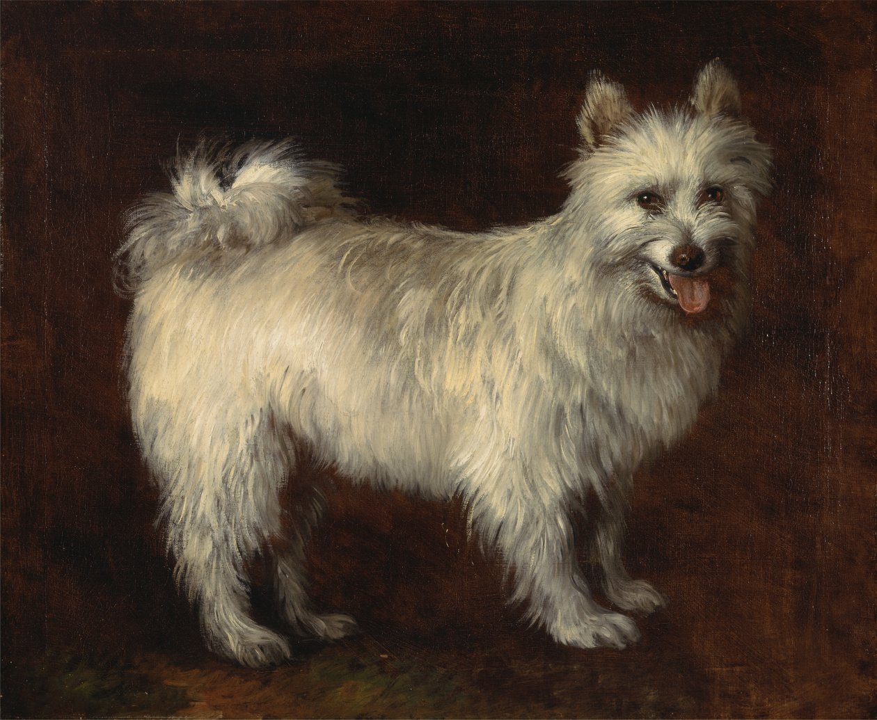 Spitzhund, Ein Hund von Thomas Gainsborough