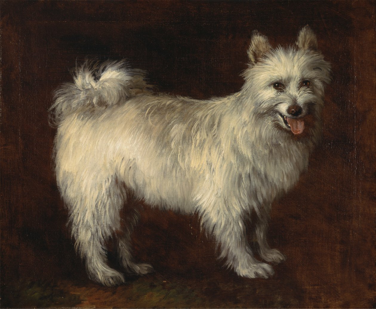 Spitzhund von Thomas Gainsborough RA