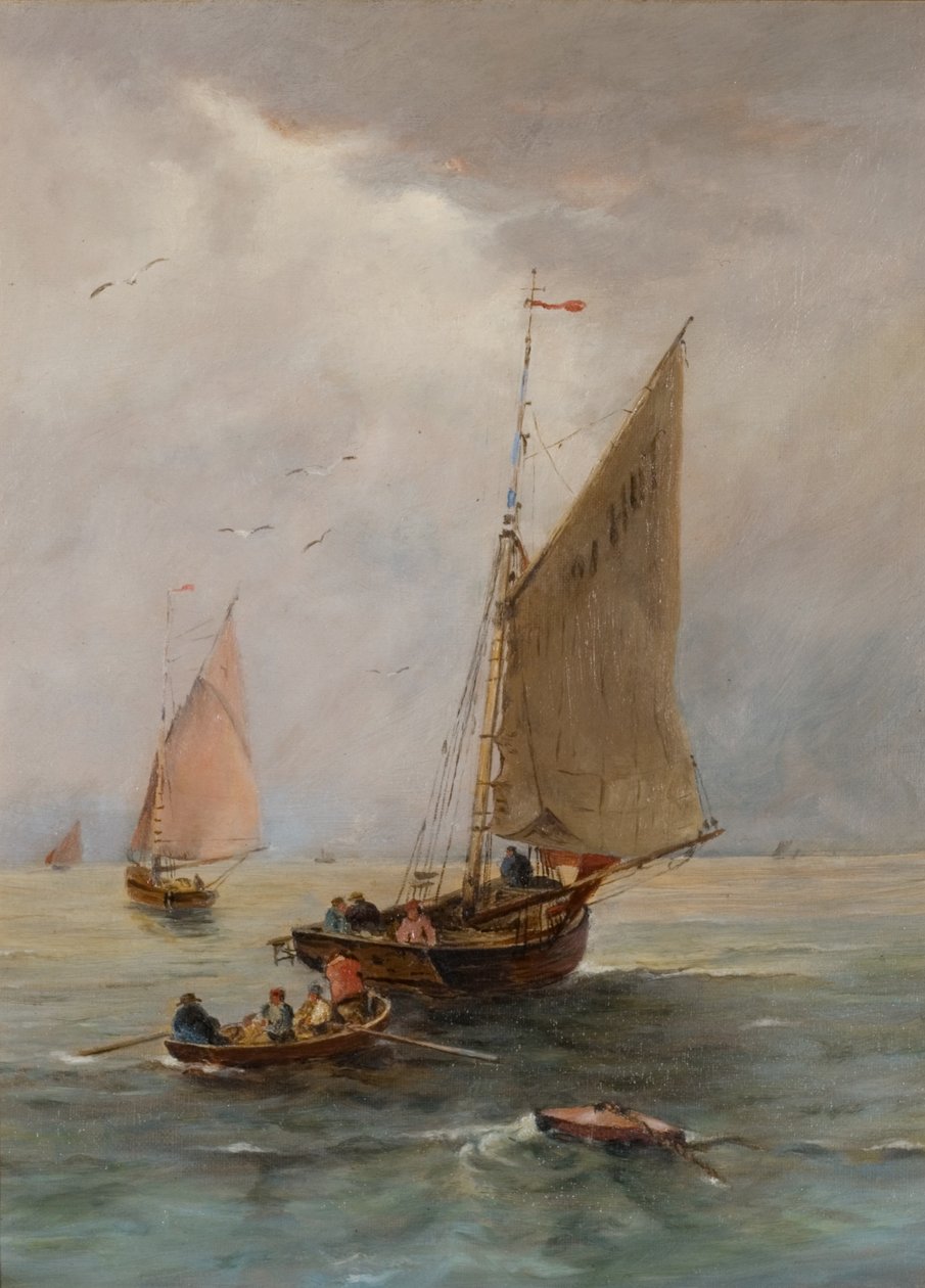 Schiff 