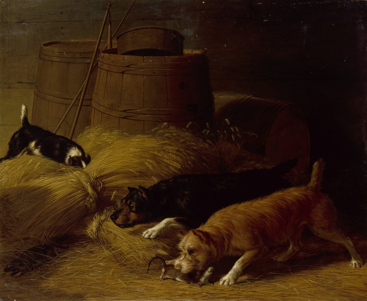 Ratten zwischen den Gerstenscheiben, 1851 von Thomas Hewes Hinckley