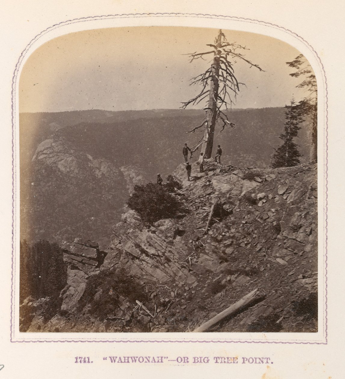 Wahwonah - Oder Big Tree Point von Thomas Houseworth