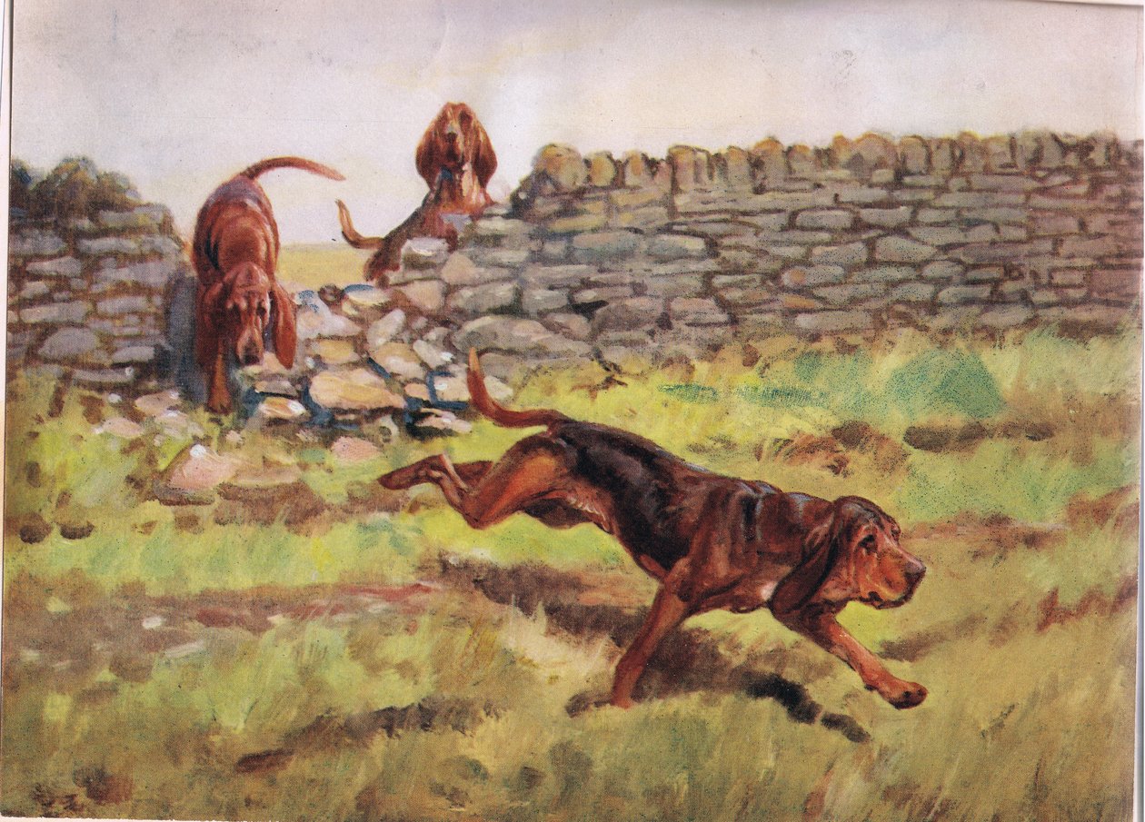 Über die Mauer, Illustration aus 