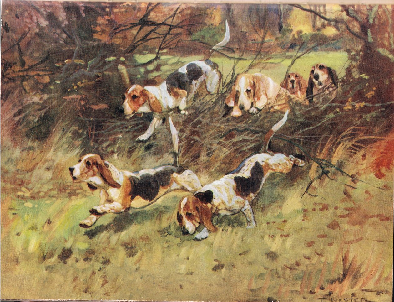 Durch die Hecke, Illustration aus Hounds von Thomas Ivester Lloyd