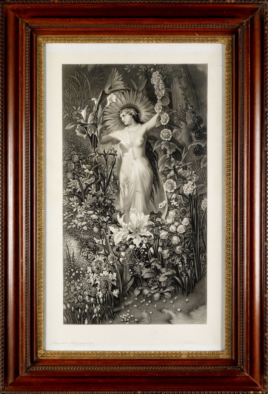 Flora von Thomas Lewis Atkinson