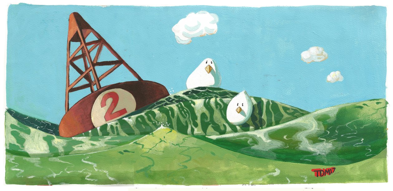Vögel Boje Welle von Thomas MacGregor