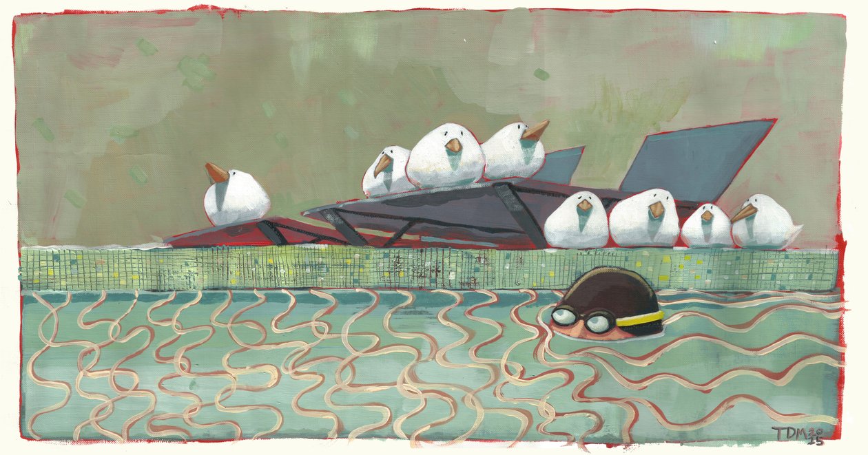 Poolvögel von Thomas MacGregor