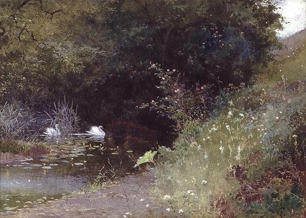Schwäne auf einem See von Thomas Mackay
