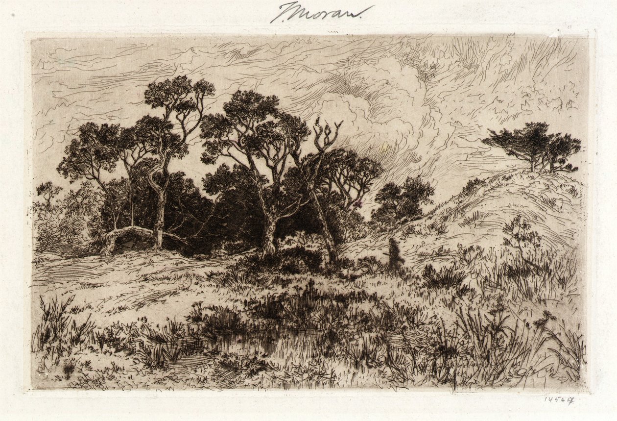 Ein südlicher Wind von Thomas Moran