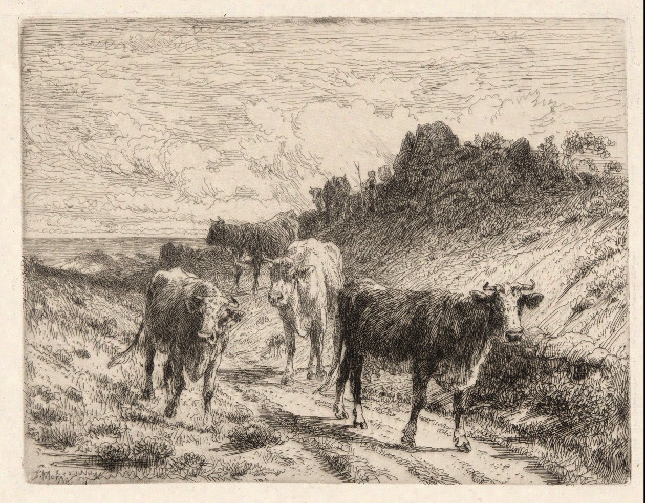 Kühe von Thomas Moran