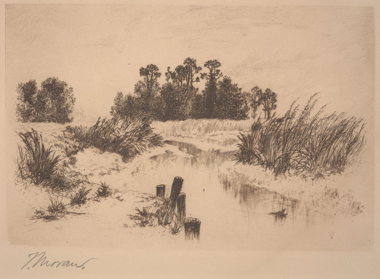 Passaic Meadows (In den Newark Meadows) von Thomas Moran