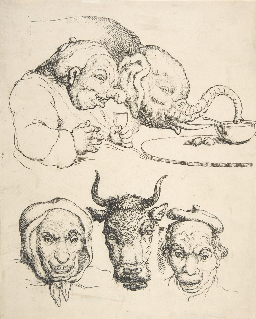 Vergleichende Anatomie, 1800-25 von Thomas Rowlandson