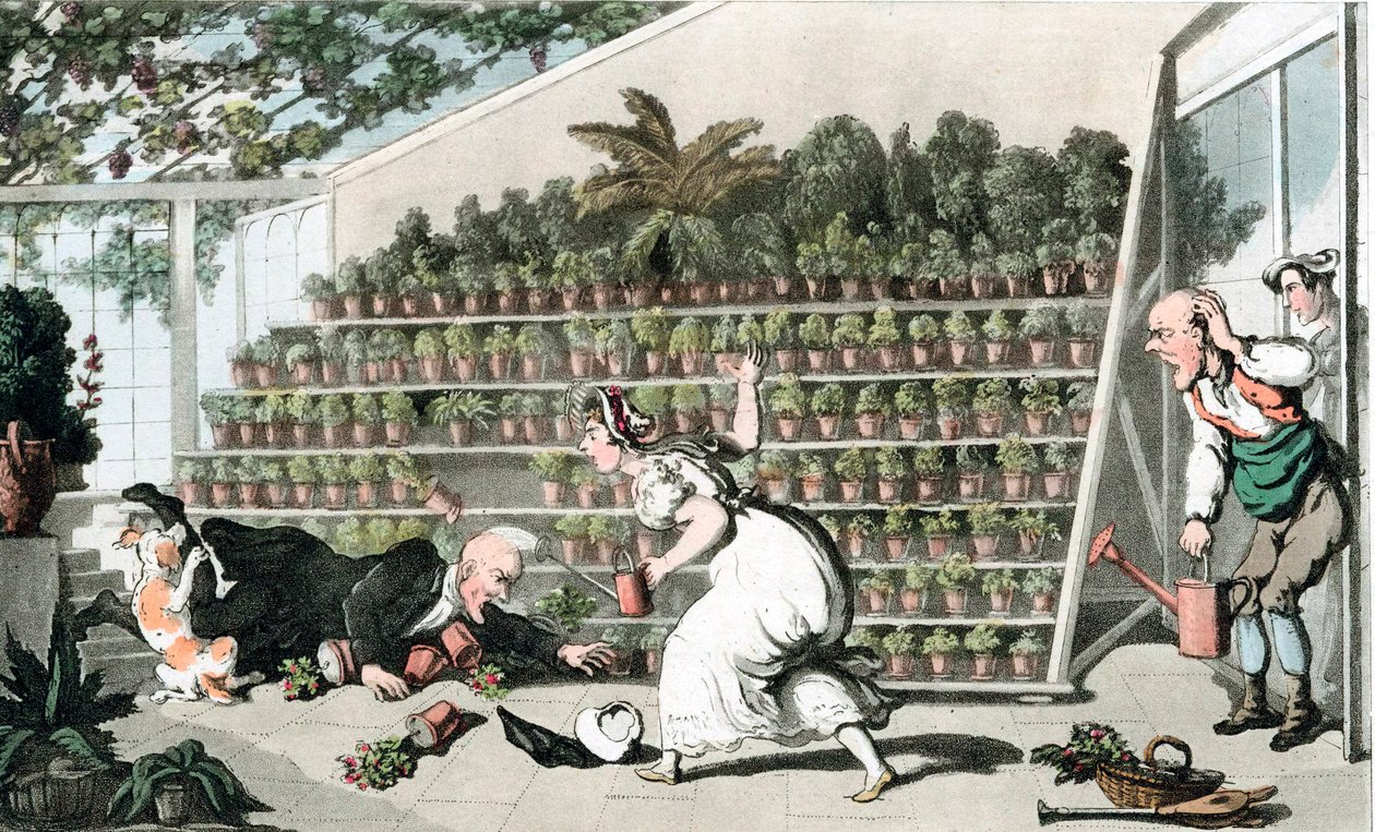 Unglück in der Tulpenhalle von Thomas Rowlandson