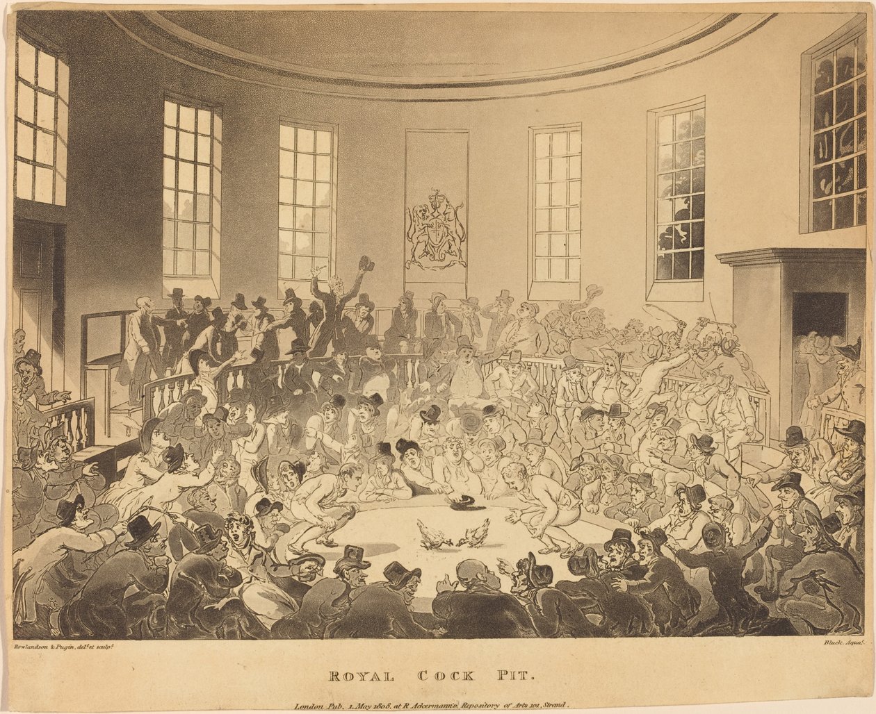 Königliche Hahnenkampfgrube von Thomas Rowlandson