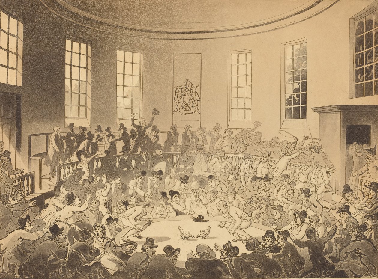 Königliche Hahnenkampfarena, veröffentlicht 1808 von Thomas Rowlandson