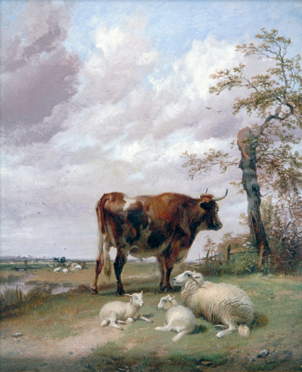 Canterbury Meadows, 19. Jahrhundert von Thomas Sidney Cooper