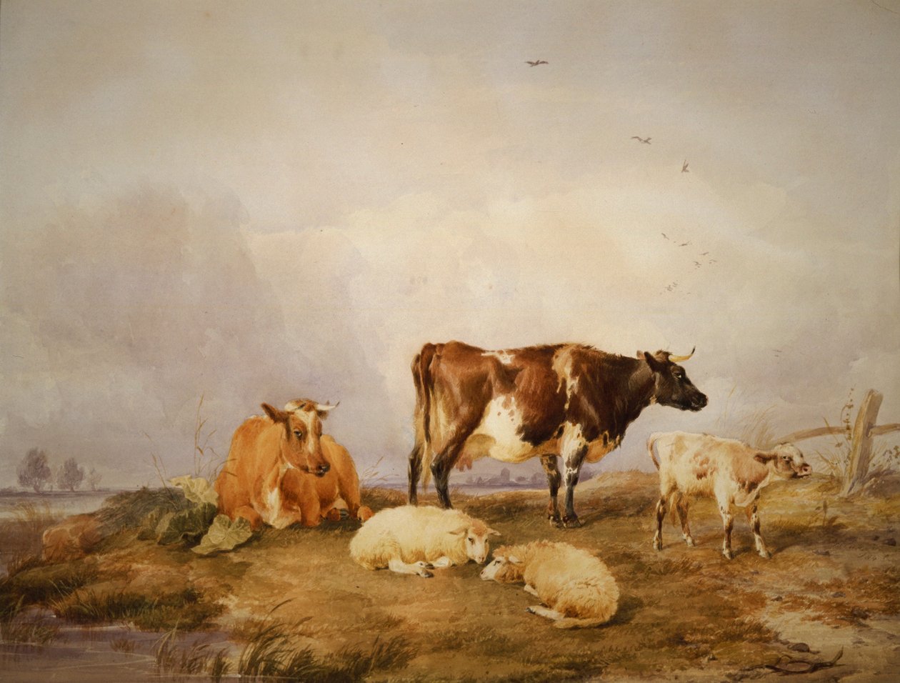 Landschaft und Vieh von Thomas Sidney Cooper