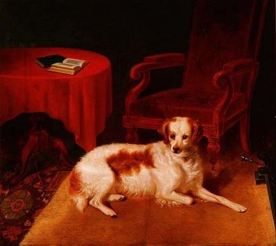 Warten auf den Meister von Thomas W. King