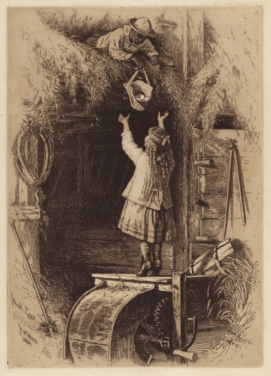 Frische Eier von Thomas Waterman Wood