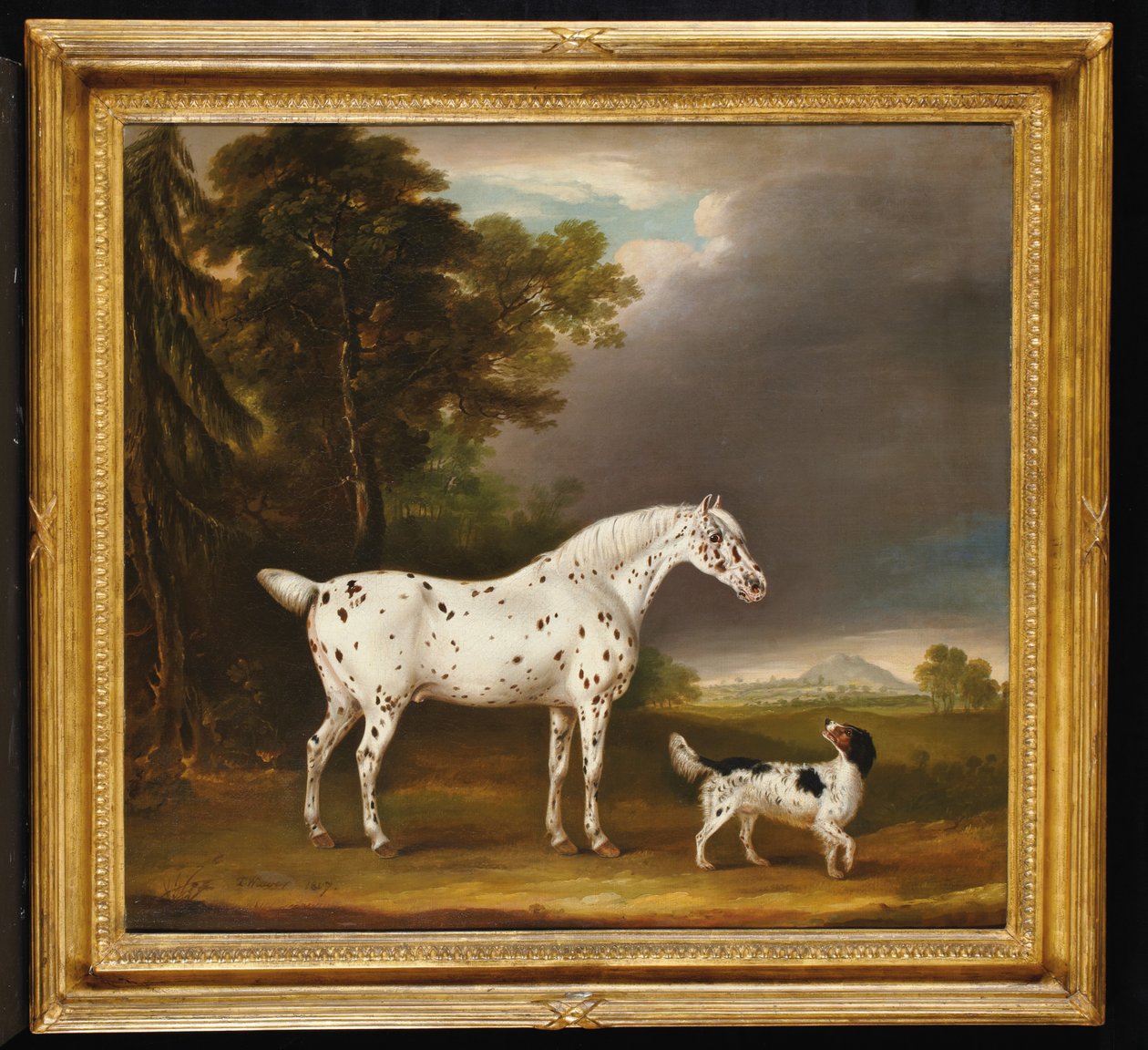 Appaloosa-Pferd und Spaniel, 1807 von Thomas Weaver