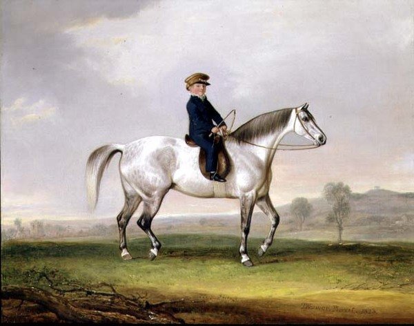 Master Edward Humphries auf seinem grauen Pony von Thomas Weaver