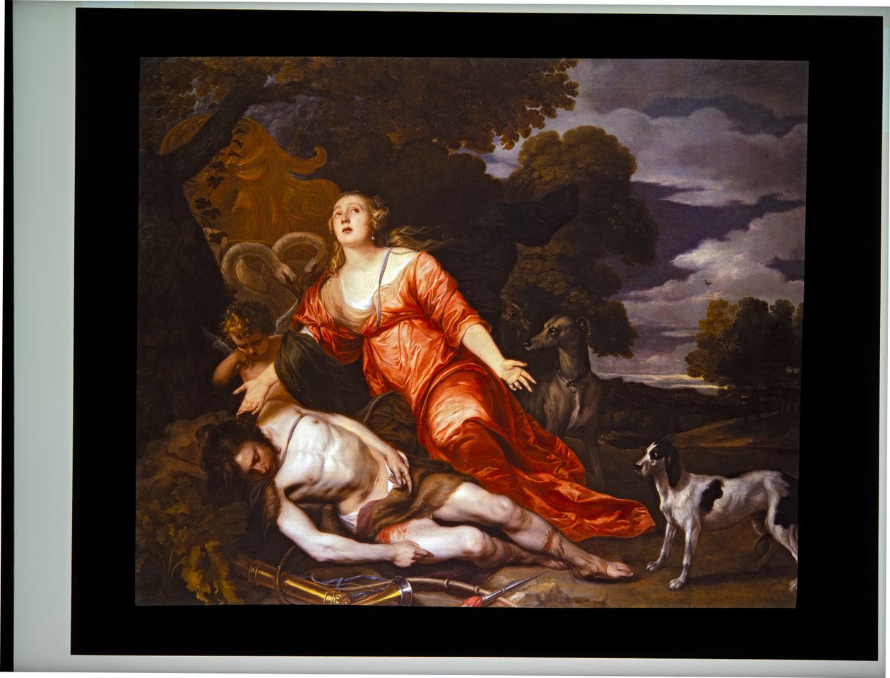 Der Tod des Adonis von Thomas Willeboirts Bosschaert