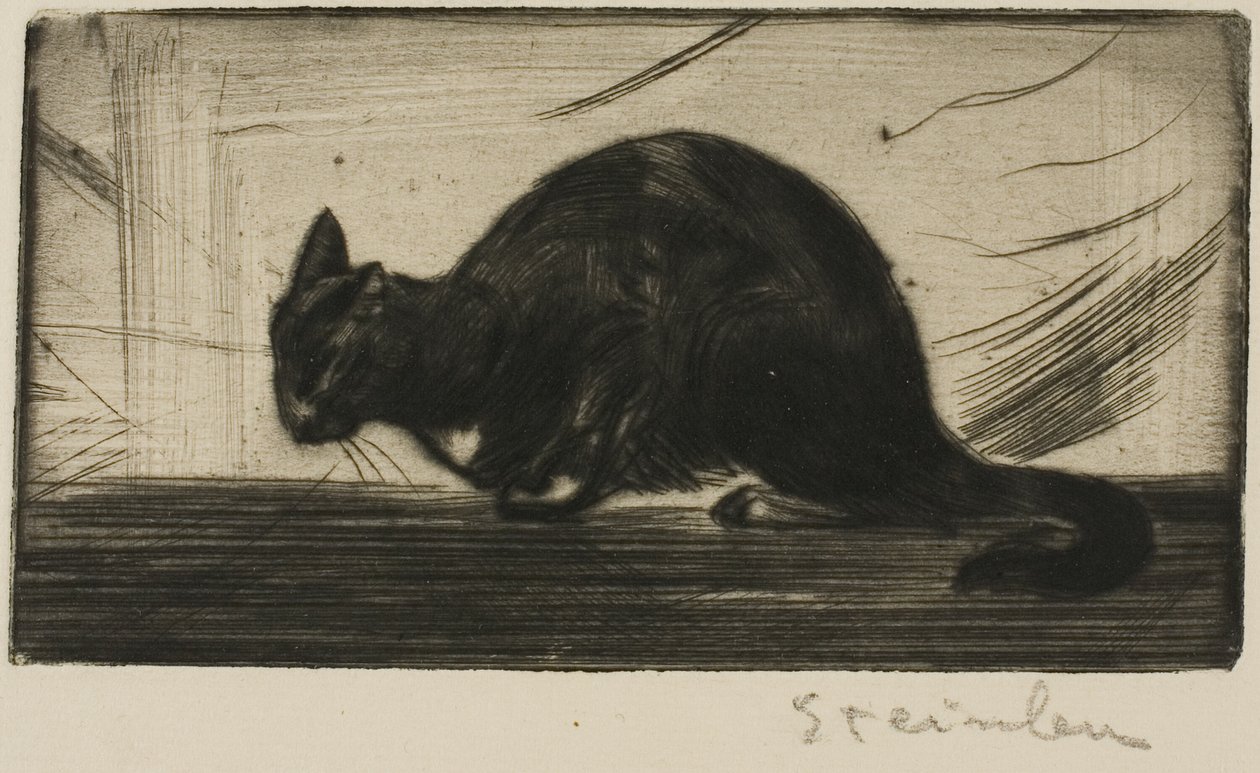 Katze, die ihren Rücken krümmt von Théophile Alexandre Pierre Steinlen