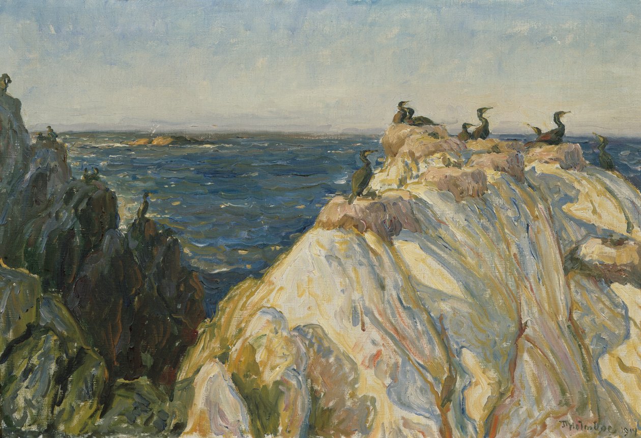 See-Vogel von Thorolf Holmboe
