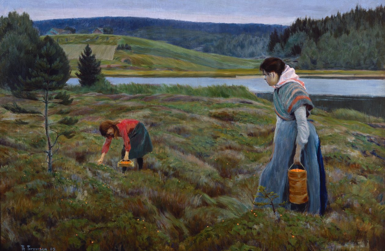 Wolfsbeeren pflücken von Thorvald Torgersen