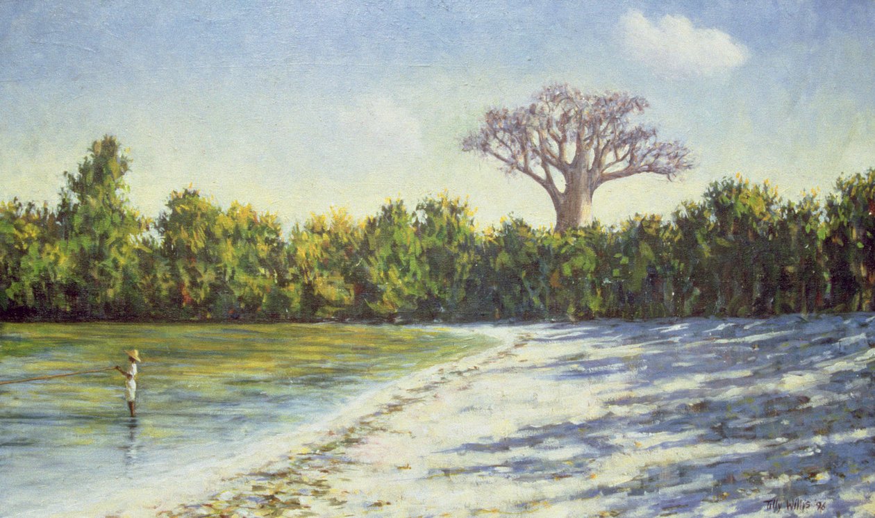 Fischen in Afrika, 1996 von Tilly Willis