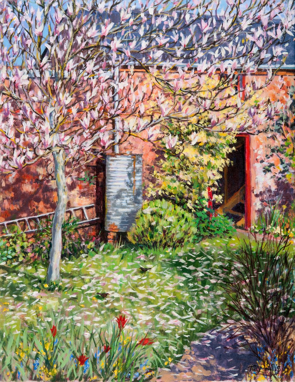 Unter der Magnolie von Tilly Willis