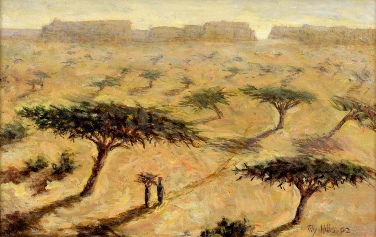 Sahelische Landschaft, 2002 von Tilly Willis
