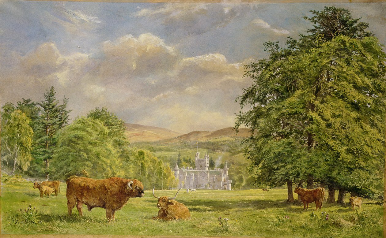 Bullen in Balmoral, 1988 von Tim Scott Bolton