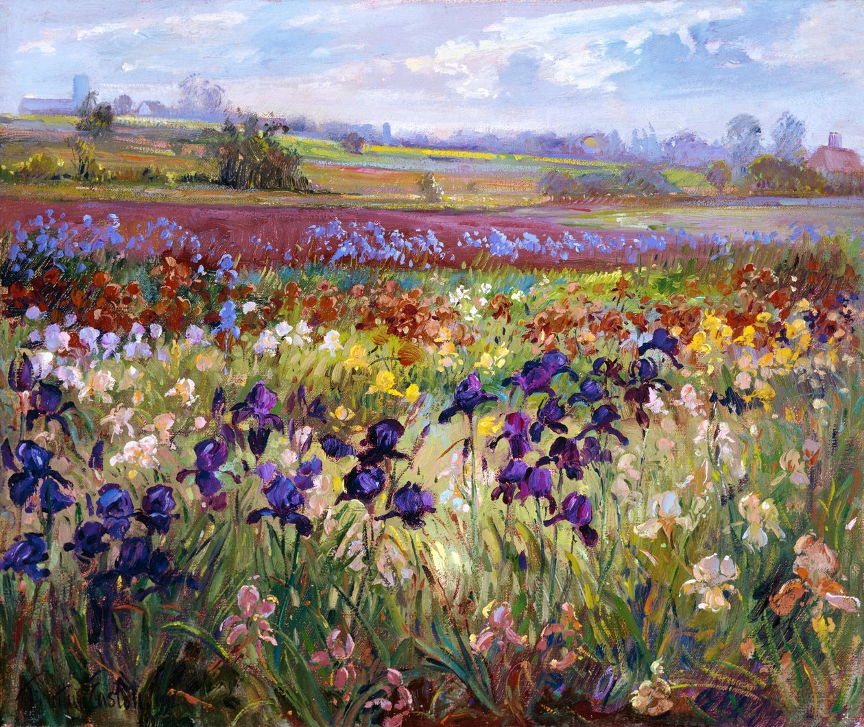 Über Burgate von Timothy Easton