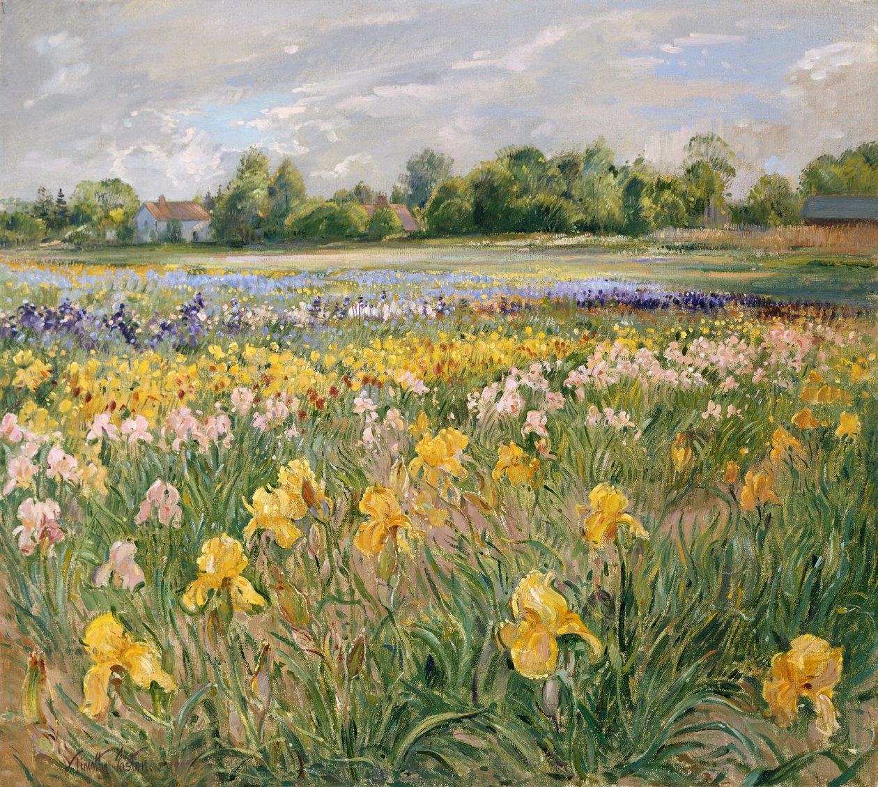 Häuser und Schwertlilienfeld von Timothy Easton