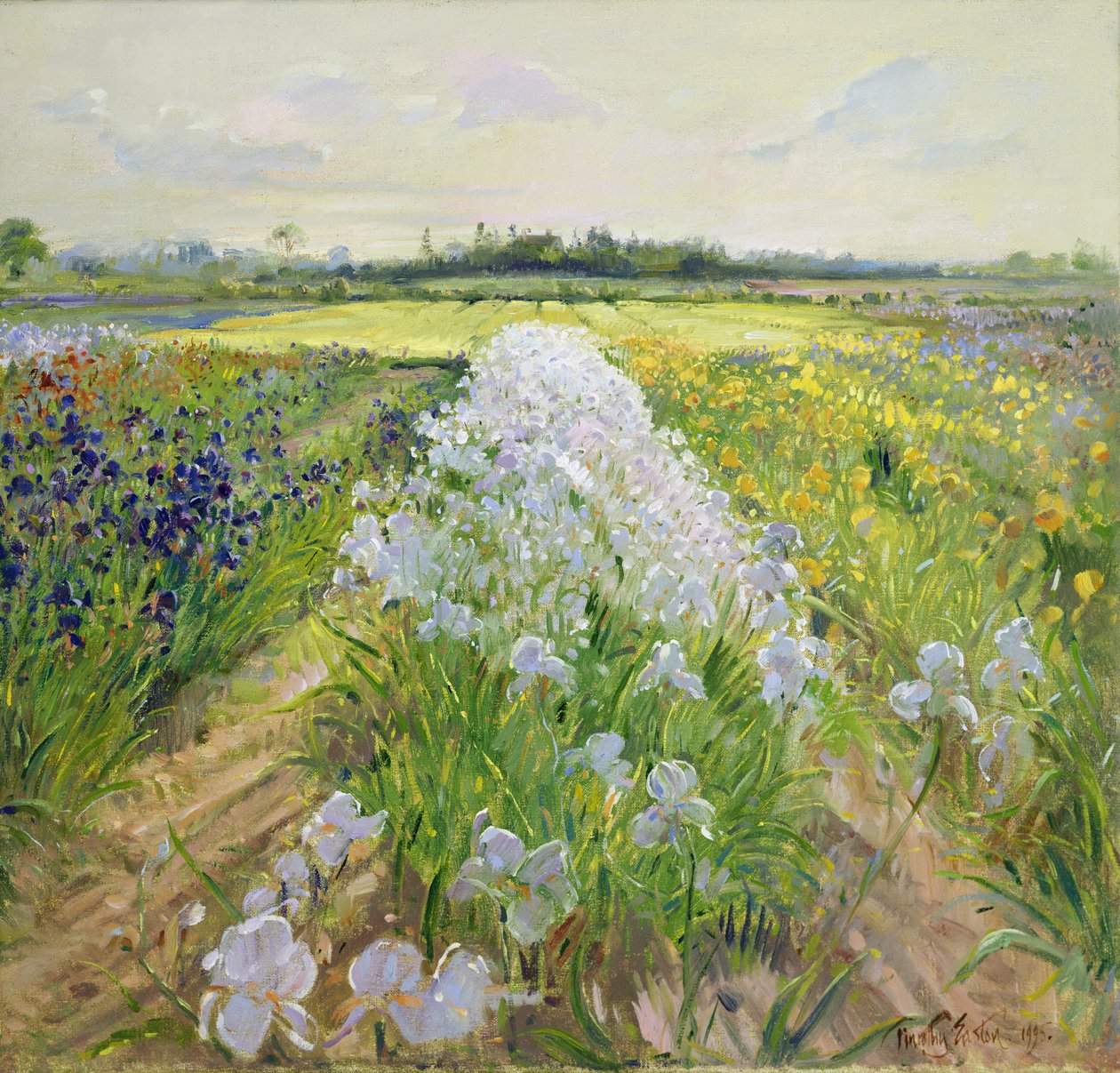 Die Linie hinunter, 1995 von Timothy Easton